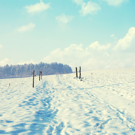 Hd-136358-ascw136358