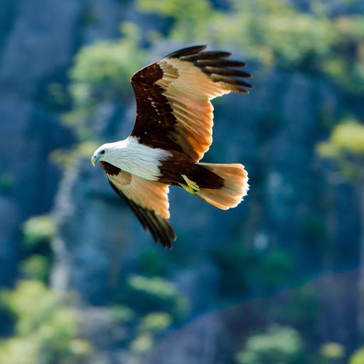 Hd-168364-ascw168364