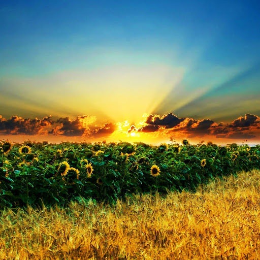 Hd-142706-ascw142706