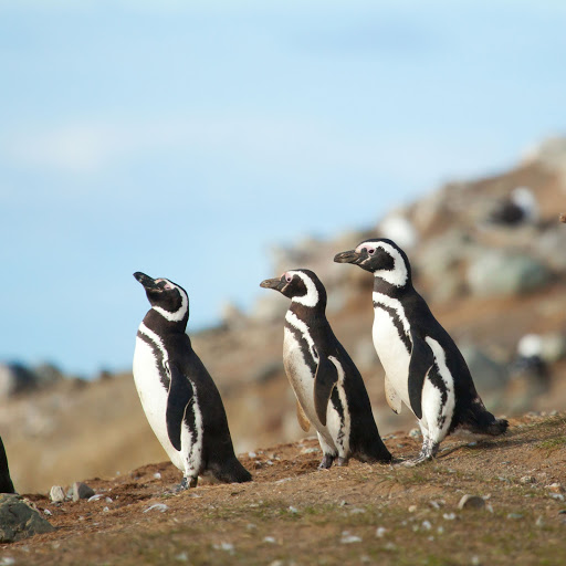 Hd-158205-ascw158205