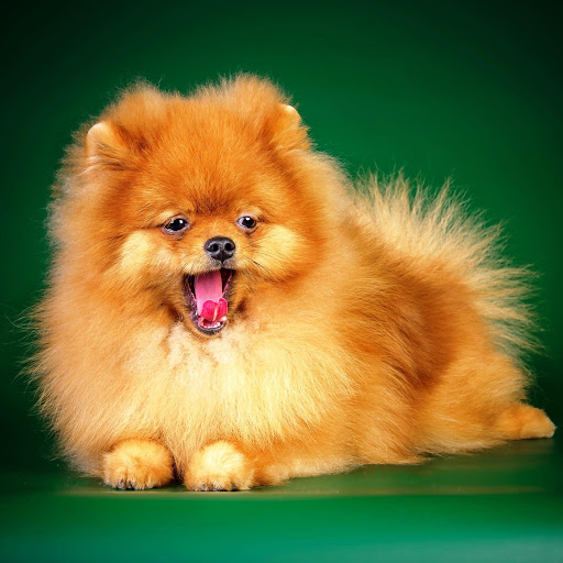 Hd-148418-ascw148418