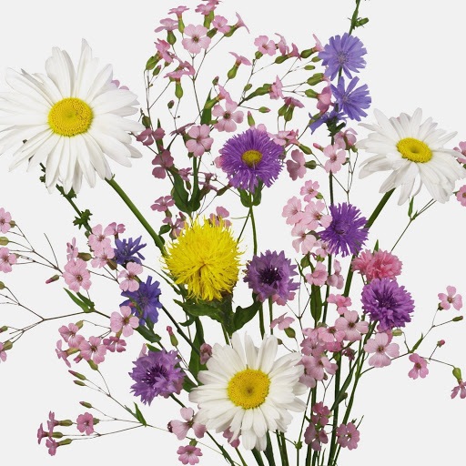 Hd-162204-ascw162204