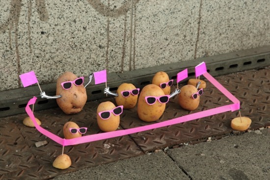 Batatas de Peter Pink 02