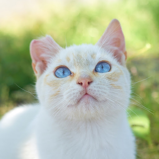 Hd-181571-ascw181571