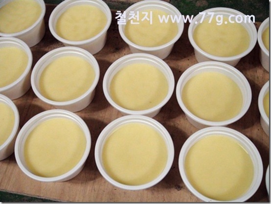 철천지DSC04184