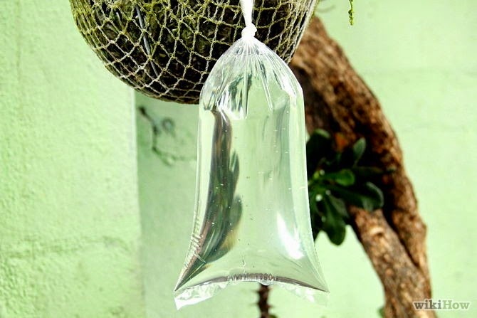 [home%2520remedies%2520for%2520flies_3%255B5%255D.jpg]
