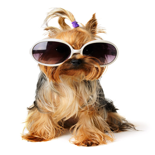 Hd-184617-ascw184617