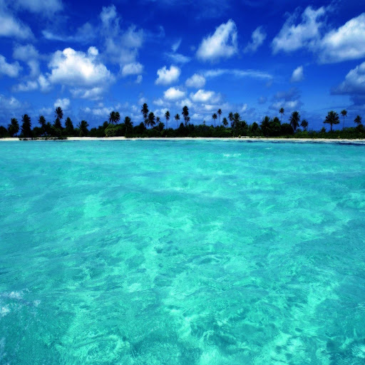 Hd-135087-ascw135087