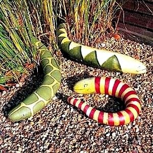 [SNAKE%2520G%255B2%255D.jpg]