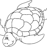 SEA_TURTLE_BW_thumb.jpg