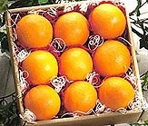 [Oranges%255B3%255D.jpg]