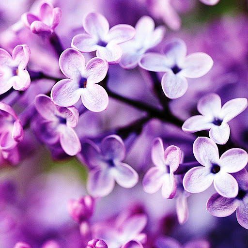 Hd-174926-ascw174926