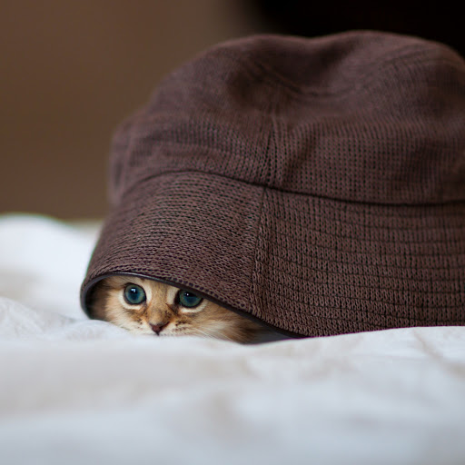 Hd-145396-ascw145396