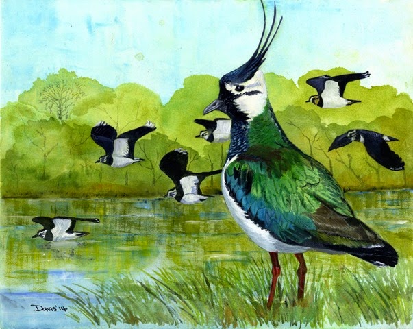 [Lapwings430%255B3%255D.jpg]