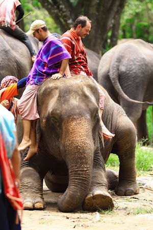 Imagini Thailanda: Plimbare pe elefant, Patara, Thailanda
