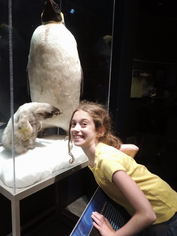 [DSCN9487%255B4%255D.jpg]