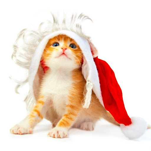 Hd-134719-ascw134719