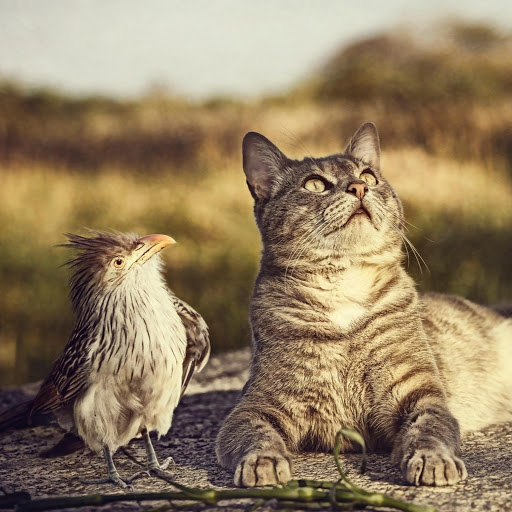 Hd-176304-ascw176304