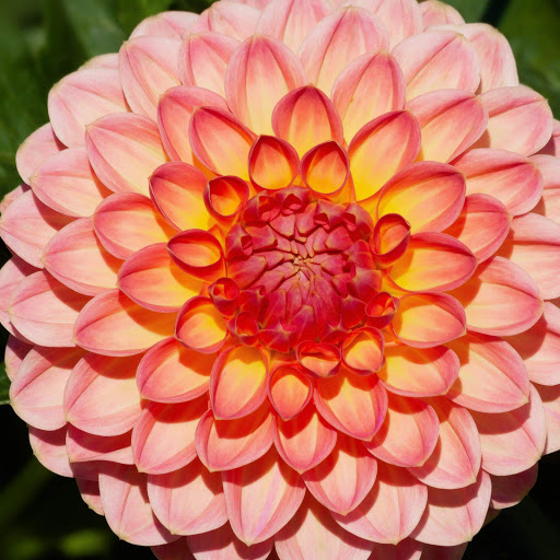 Hd-151332-ascw151332