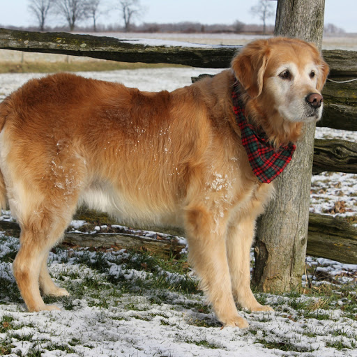 Hd-144467-ascw144467