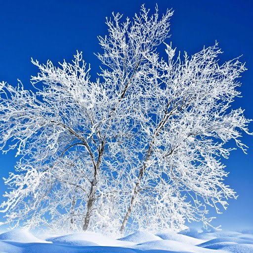 Hd-151073-ascw151073