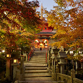 朝護孫子寺,紅葉(PK3_0093,Top)2014yaotomi_.jpg