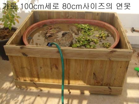 [Gallery2793_0%255B3%255D.jpg]
