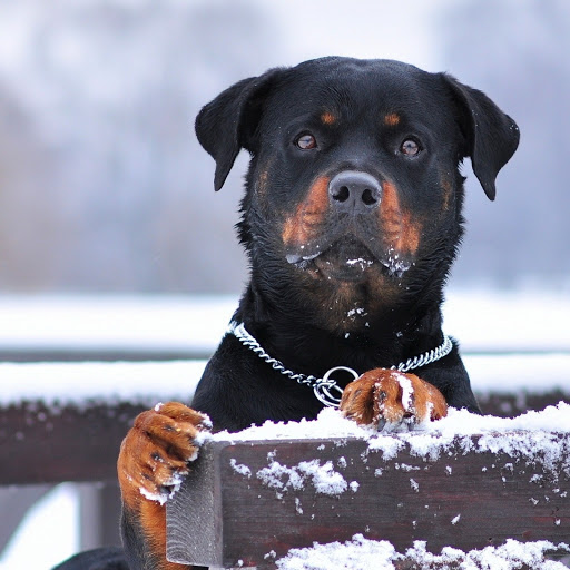 Hd-165992-ascw165992