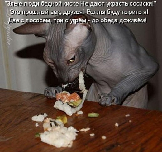 [kotomatrix_33%255B6%255D.jpg]