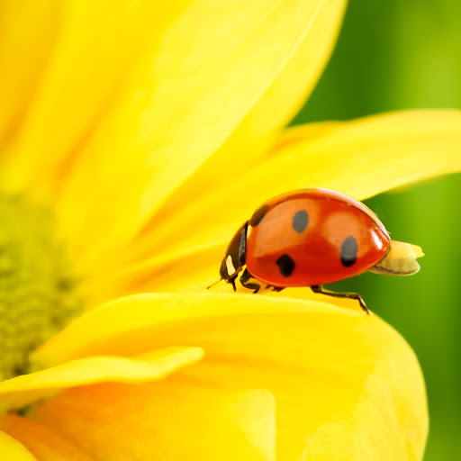 Hd-156412-ascw156412