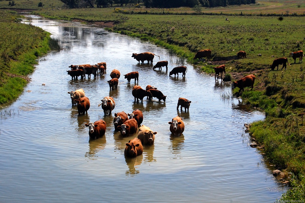 [DSC_8110%255B4%255D.jpg]