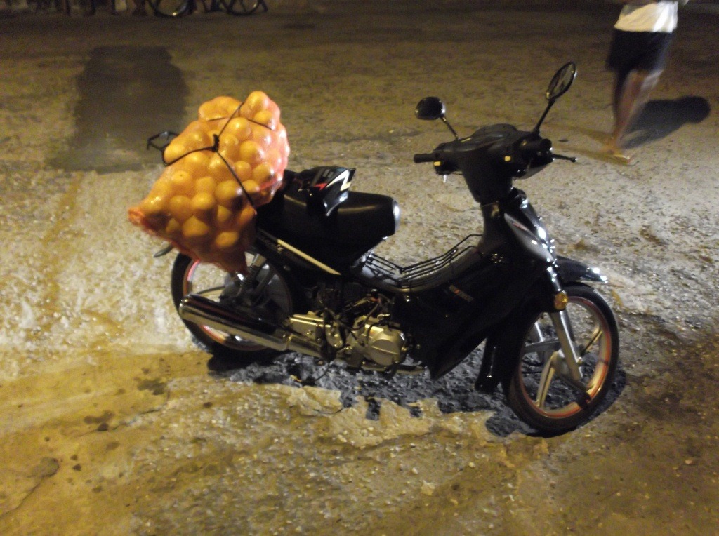 [DSCF0299%255B4%255D.jpg]