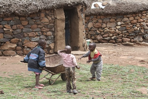 20100302 (9) (Large)