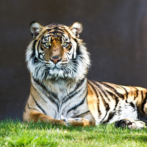 Hd-180353-ascw180353