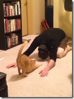 gato-yoga-500x666 gato-yoga-500x666