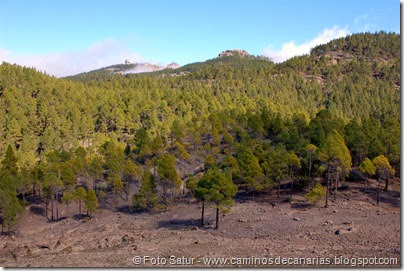 7478 La Goleta-La Candelilla(Pico Las Nieves) 7478 La Goleta-La Candelilla(Pico Las Nieves)