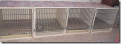 4-kennel-cages.2