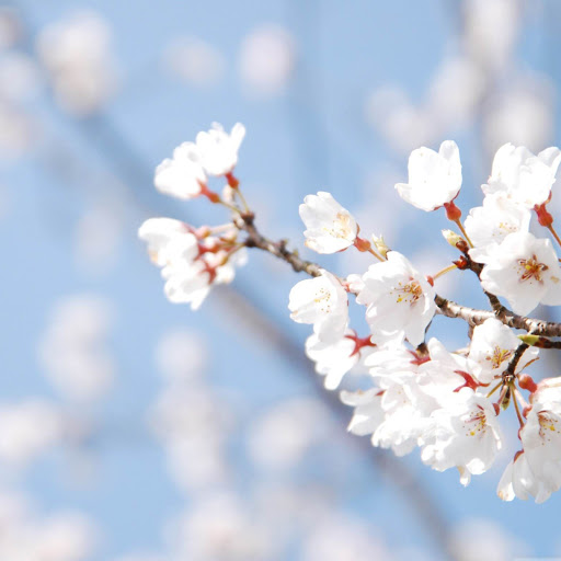 Hd-151771-ascw151771