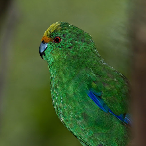 Hd-175302-ascw175302