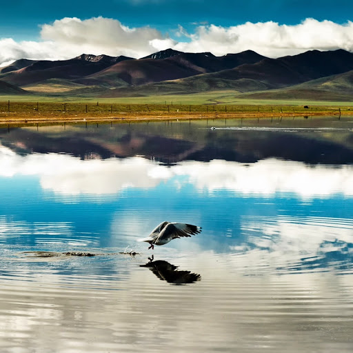 Hd-142125-ascw142125