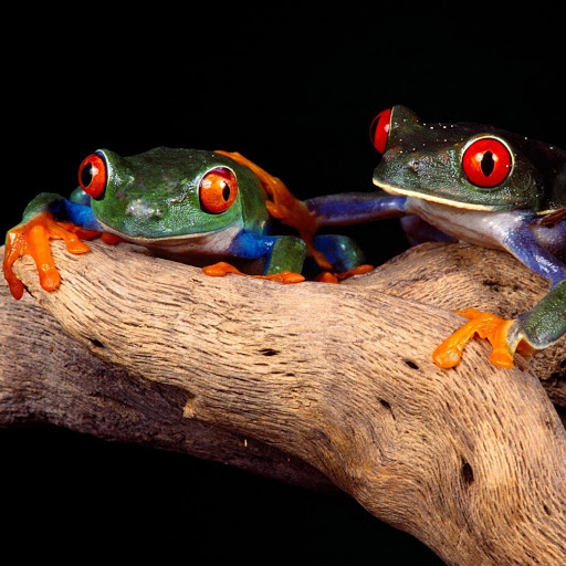 Hd-135354-ascw135354