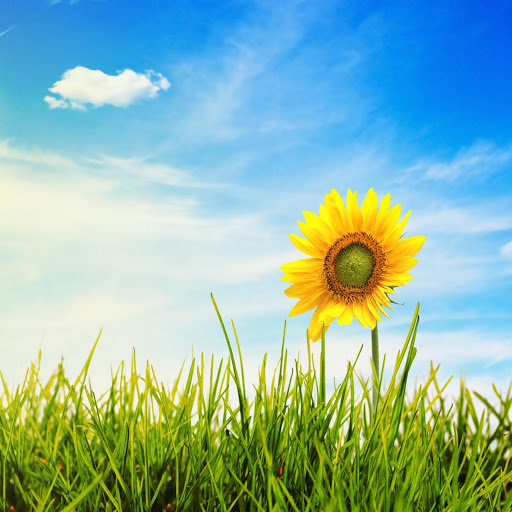 Hd-144290-ascw144290