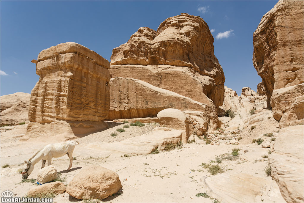 LookAtIsrael.com: Петра   город, вырубленный в камне (jordan  путешествия Петра крепости и замки древнее )