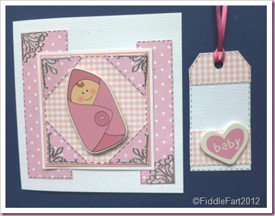 Baby Girl card and Tag