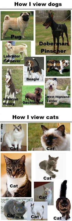 [funny-dogs-cats-races-names6.jpg]