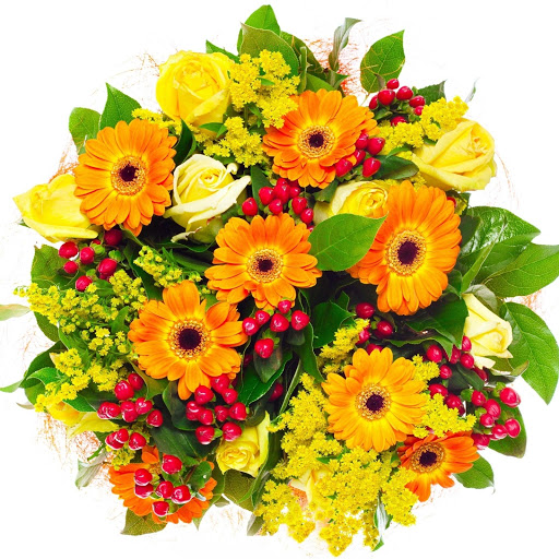 Hd-131495-ascw131495