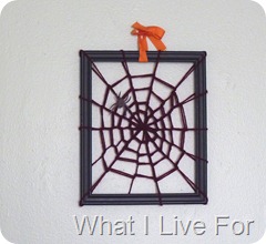 Framed Spiderweb