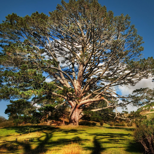 Hd-133152-ascw133152