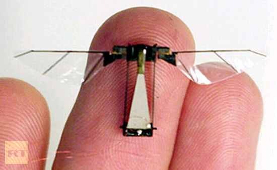 [iae4d628854d9329bcfa0c6c7ec7667b0_insect-fly-bot-drone%255B5%255D.jpg]