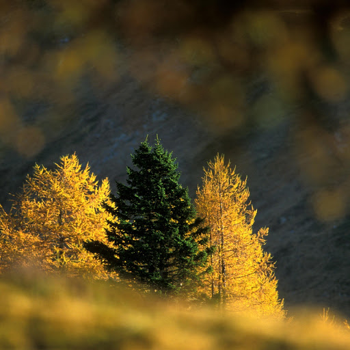 Hd-145058-ascw145058